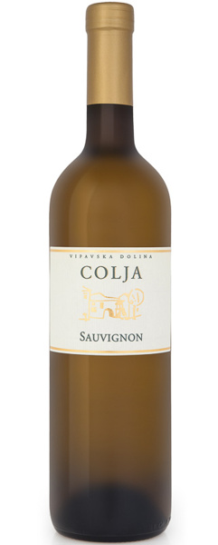 foto sauvignon 01 2